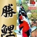 JPD Shori High Growth Food 10kg JPD Shori High Growth Food 10kg