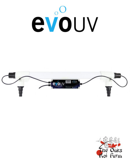 Evolution Aqua evo UV 30W @ The Oaks Koi Farm