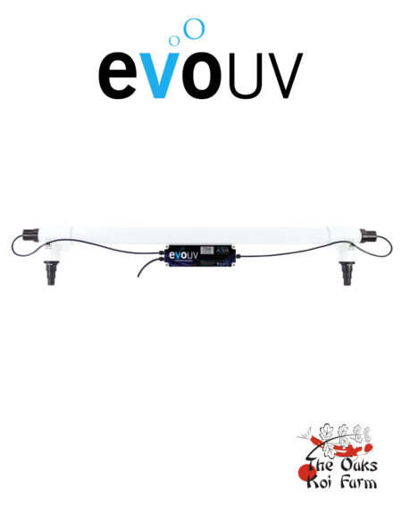 Evolution Aqua evo UV 75W @ The Oaks Koi Farm