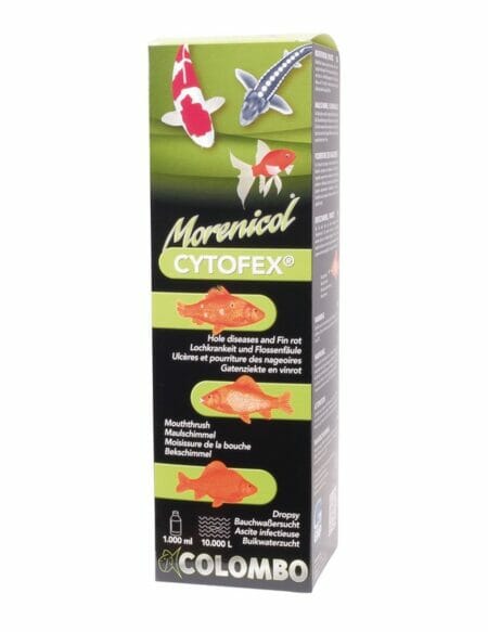 Colombo Cytofex Anti Bacterial Infections Treatment Cytofex @ The Oaks Koi Farm