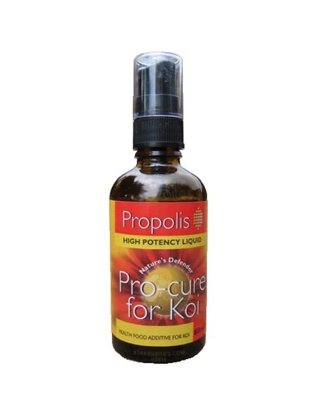 Propolis Food Supplement Spray