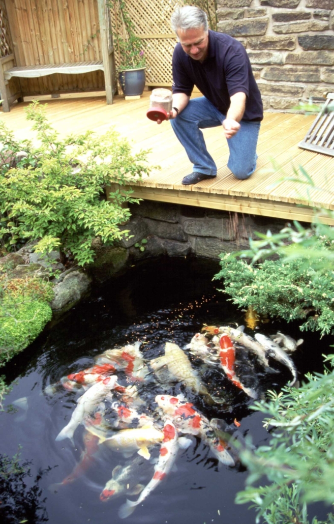 Koi Nutrition