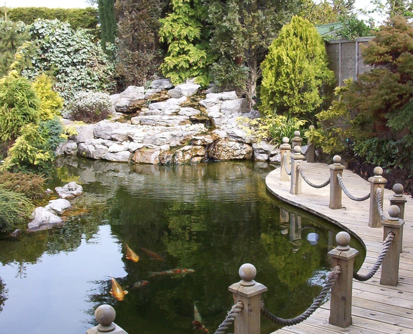 clear koi pond water