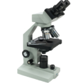 Brunel SP35 LED Binocular Microscope @ The Oaks Koi Farm