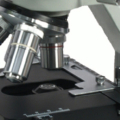 Brunel SP35 LED Binocular Microscope