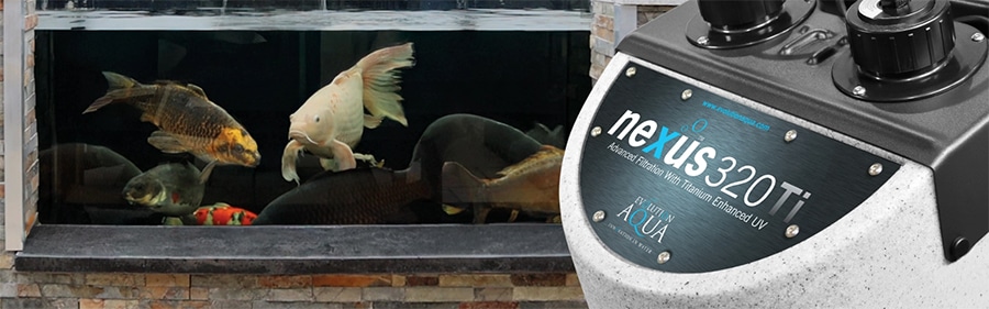Nexus Ti Image Banner @ The Oaks Koi Farm